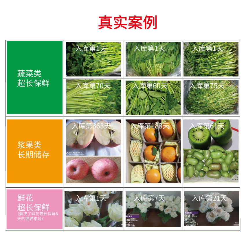 智慧冰溫庫(kù)成套裝備(圖3)